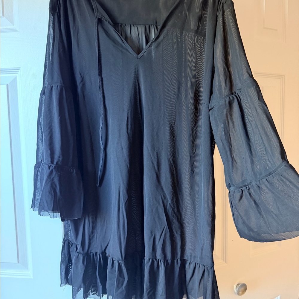 Sheer Black Bathing Suit Coverup